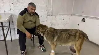 ХИРУРГ УДАЛИЛ ОГРОМНУЮ ОПУХОЛЬ АЛАБАЮ Джуле