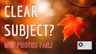 Why Every GREAT Photo Has One Clear Subject