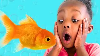 AJ and Aaliyah Get Their First Pet Fish | Learning for Kids