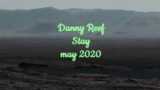 Danny Reef  Stay