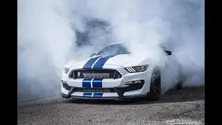 GT350 Dyno Run