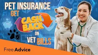 Cheap Pet Insurance: Get Reimbursed for Vet Bills (Find &lsquo;26&rsquo;s Best Rates Here!)