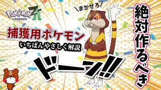 【ポケモンZA】超便利！捕獲率が倒すよりも高くなる！捕獲用オヤブンミルホッグの努力値の振り方や育成方法を詳しく解説！ポケモンレジェンズZA