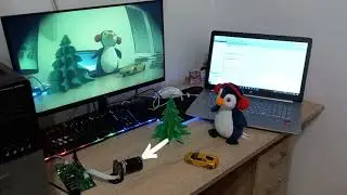 Sony IMX283 Camera | 1080p 60FPS Stream with Trenz FPGA (Artix-7)