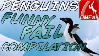 PENGUINS BEST FUNNY FAILS COMPILATION | Fails de ping&uuml;inos