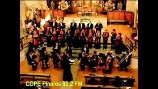 La Camerata en San Mart&iacute;n de Valdeiglesias