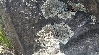 SWLing on the rocks