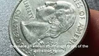 🇺🇸2005D  Minnesota Quarter Error &ndash; Extra Tree Worth Up to $300!💰#MinnesotaQuarter #RareCoins 