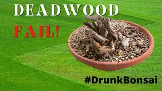 Bonsai Deadwood Fail. My Oldest Surviving Video, S01 E06