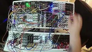 Pectinifrons 39 (19) &sect;a [Nonlinearcircuits Eurorack] (November 23, 2025) {Zoom Q8 / 1010 Bluebox}
