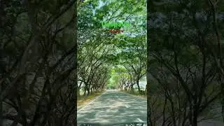 Daspalla nayagarh road #travel #odisha #nayagarh