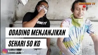 ODADING VIRAL !! KOTA SOLO || OMSET PER HARI JUTAAN RUPIAH !!!