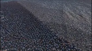 Epic 30K Units Skeleton Warriors vs Runner ZOMBIES - Ultimate Epic Battle Simulator