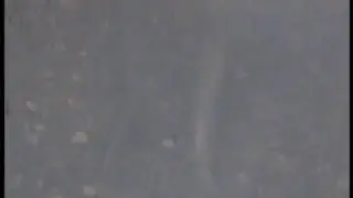 River Moy Atlantic Salmon Spawning