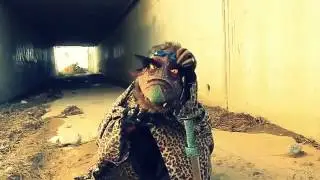 Vlodrack: The Last Skeksis of Thra