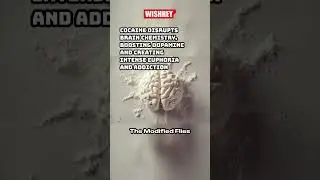 Groundbreaking Fruit Fly Model for Cocaine Addiction #shorts #addiction