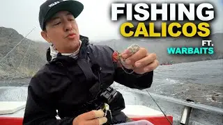 Fishing for Calico Bass (INSANE BITE) | Rodney And Warbaits