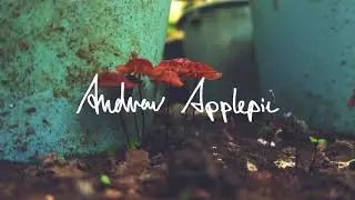 Andrew Applepie - Lo