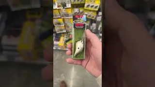 Bait recommendation from Walmart 🎣 #fishing #bassfishing #fyp #walmart #viralshorts #fishingusa