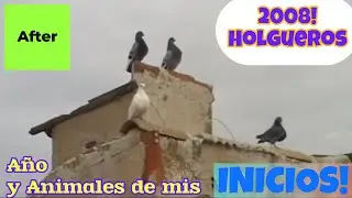 Holgueros!! Año y Palom@s de mis Inicios, Video del año 2008 de dos Grandes Aficionados, Parte I.