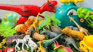 Dinosaur and Animals | T-rex Tiger zebra cow Lion Giraffe Bear Elephant #asmr #dinosaur #satisfying 