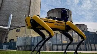 How Can Robot Dogs Safely Decommission Nuclear Reactors?