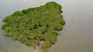Kayaking around Pelican Island, Sebastian Florida. Mavic 2 Pro