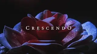 CRESCENDO / Most Epic Movie Shots