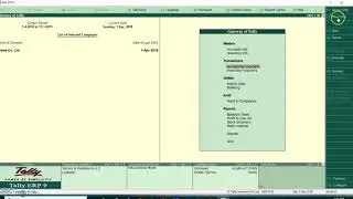 TALLY AUDIT FEATURES in Tally
