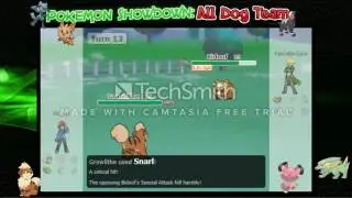 Pokemon Showdown: All Dog Team