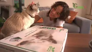 Arena para Gatos Green Pet de 5.4 kg Nueva Presentaci&oacute;n