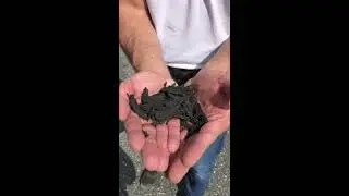 Segmented Skid Steer Solid Tire begins to tear apart in 15 mins