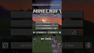 Que Pasaria Si Pasas Un Mundo de Bedrock a Java?