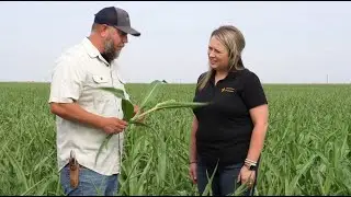 Inside The Co-op:  Grain Originators