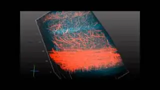 ACT-PRESTO: Rapid and consistent tissue clearing and labeling method for 3-dimensional (3D) imaging
