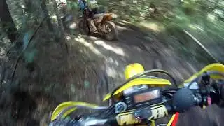 Beerburrum Forestry.BillyGoat Track!!