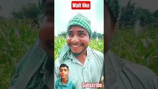 5 lakh dream11 pe karja