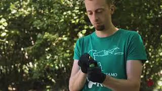 Wild Cat Monitoring (2020)