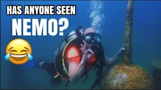My First Scuba Diving Experience in Halfmoon Beach, Khobar, KSA