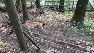 Bad Schandau - Германия