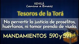 Mandamientos 590 y 591 | No pervertir la justicia de pros&eacute;litos, hu&eacute;rfanos, ni tomar prenda de viuda