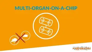 Multi-organ-on-a-chip vervangt proefdieren: De kracht van combineren