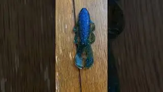 Battle of craws. Bandito bug Vs Berkley Craw