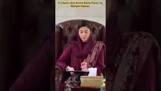 Кого именно пришлось арестовать? Марьям Наваз #pmln #cmpunjab #maryamnawaz #lahore