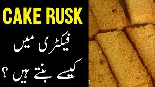 Rusk Cake Factory Tour + Baker Business Setup Explained (BUSINESS IDEA)