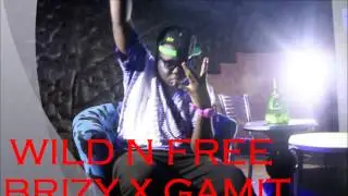 WILD N FREE BRIZY X GAMMIT