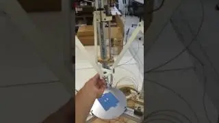 Kinematic singularity of the linear delta robot with single legs