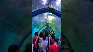 India's largest under water fish tunnel Expo.😍-#mumbai #minivlog