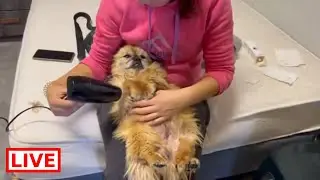 We must keep him warm ❤️ - Takis Shelter