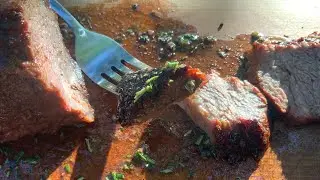 Pellet Grill Shorts Series - Tri Tip Roast